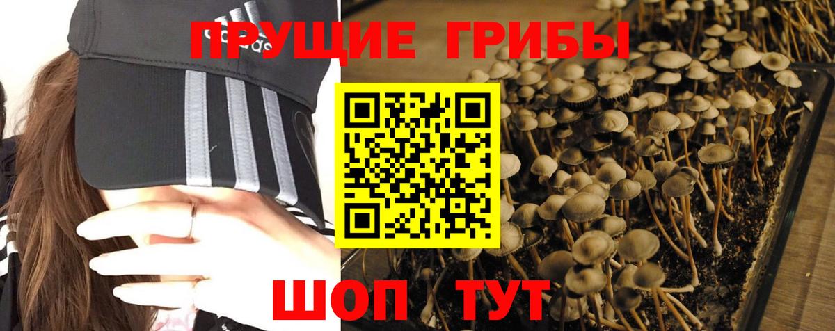 Отрадное  Галлюциногенные грибы MAGIC MUSHROOMS  Галлюциногенные грибы Psilocybine cubensis  Вход с VPN 