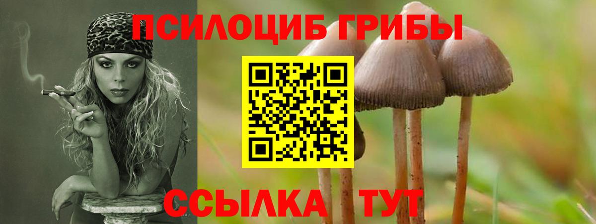 Псилоцибиновые грибы MAGIC MUSHROOMS Отрадное